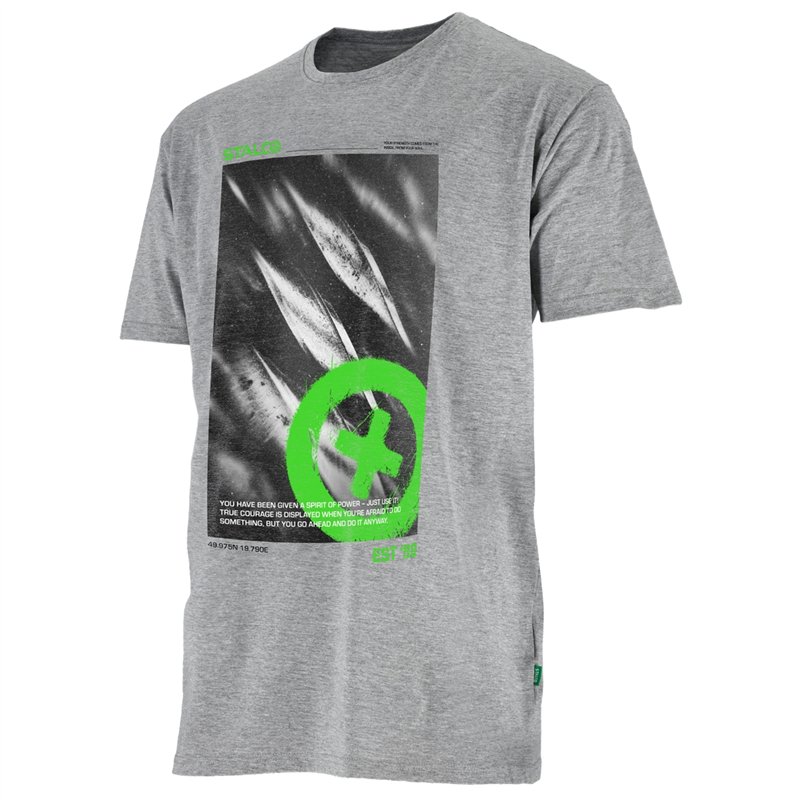 T-shirt męski BONO STINGER szary XS  S090644505