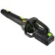 Dmuchawa akumulatorowa do liści 60V Stalco PERFECT BLP60-300BL
