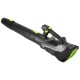 Dmuchawa akumulatorowa do liści 60V Stalco PERFECT BLP60-320BLCS