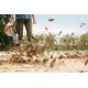 Dmuchawa spalinowa ogrodowa STIHL BG56