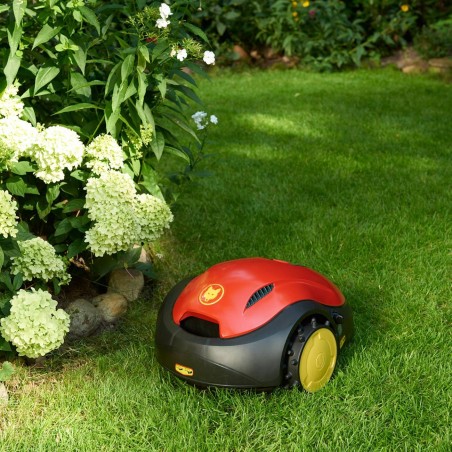 Robot do Trawy - Kosiarka robotyczna WOLF-Garten LOOPO S150