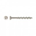 Wkręt uniwersalny DeWalt Walldog 50mm T25 Chrome 100szt