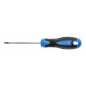Wkrętak torx T25 Hoegert HT1S056