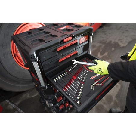 Wkładka do szuflad Packout z kluczami i szczypcami Milwaukee, 19 el.