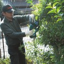 Nożyce akumulatorowe do żywopłotu 52cm Makita DUH523Z