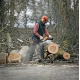 Piła łańcuchowa spalinowa STIHL MS271