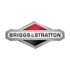 Briggs & Stratton